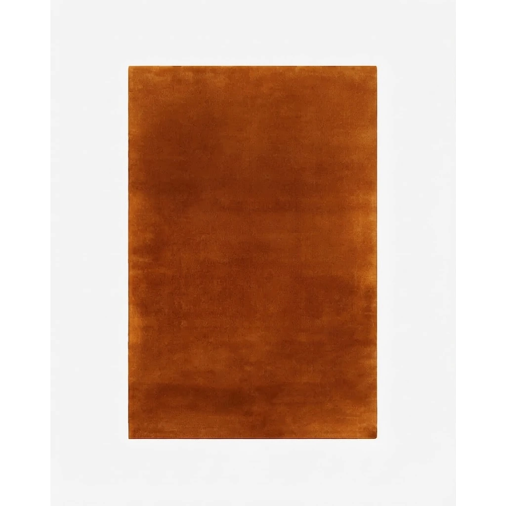 Cognac Silk Reverie Hand Tufted Wool and Viscose Rug - studio photo
