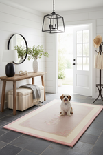 Dog sitting on a pink rug in a home interior with a wooden console table, mirror, and lamp.