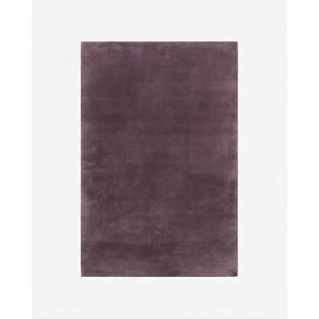Muted Plum Reverie Hand Tufted Wool Rug - studio photo