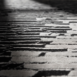 Close-up of a black and white patterned area rug with a textured, low-pile surface and a modern abstract geometric design.