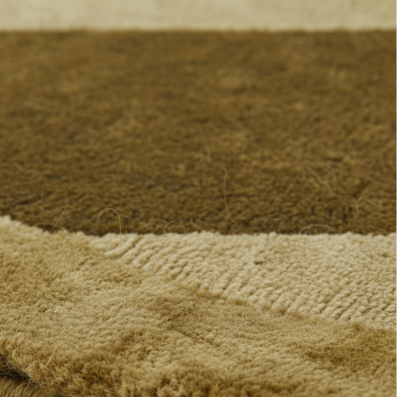 Close-up of a plush shag rug in warm brown with a contrasting beige ribbed border, showing the soft texture and pile direction.